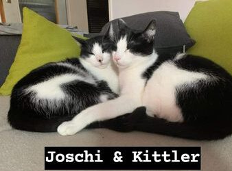 Joschi und Kittler