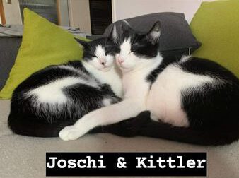 Joschi und Kittler